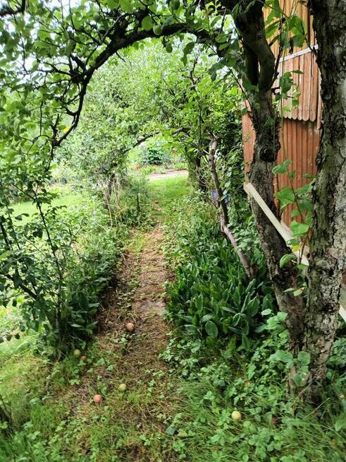 Ogródek działkowy ROD Tarnów Góra Marcina