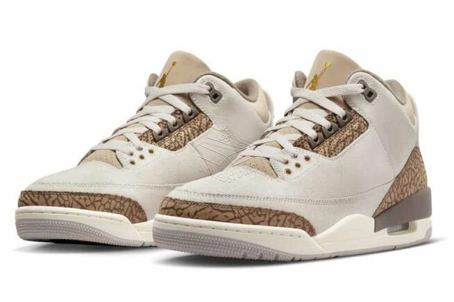 Nike AIR JORDAN 3 Palomino / CT8532—102