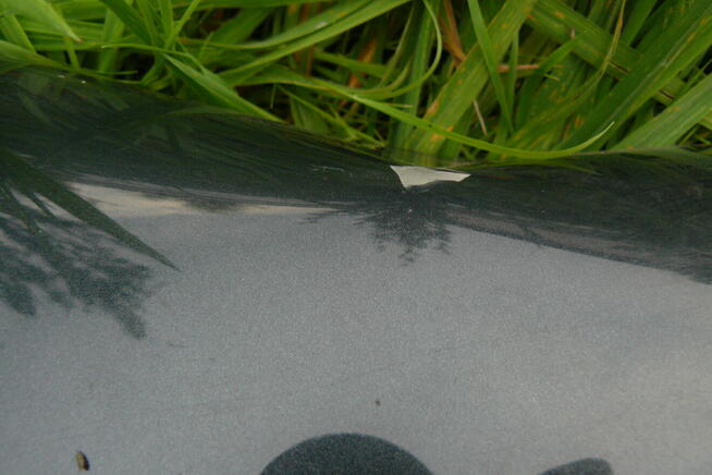 Citroen C5 przedni prawy blotnik