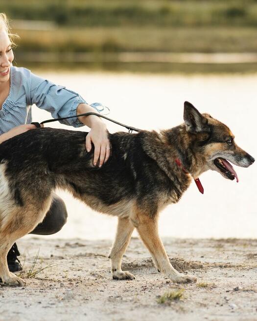 Sara jest z nami 6 lat. Ma za sobą powrót z nieudanej adopcj