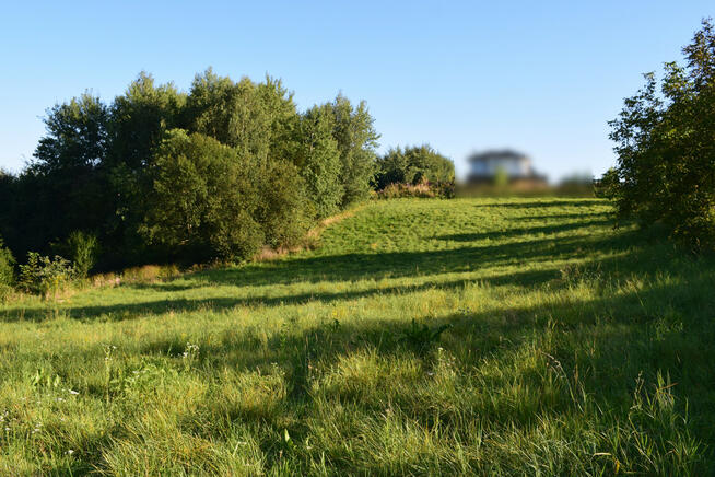 Działki budowlane od 10a do 47a w Tyczynie