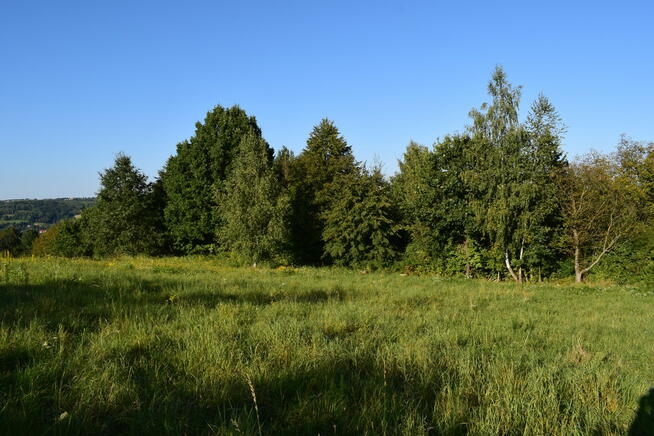 Działki budowlane od 10a do 47a w Tyczynie