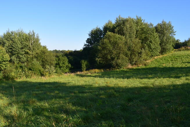 Działki budowlane od 10a do 47a w Tyczynie