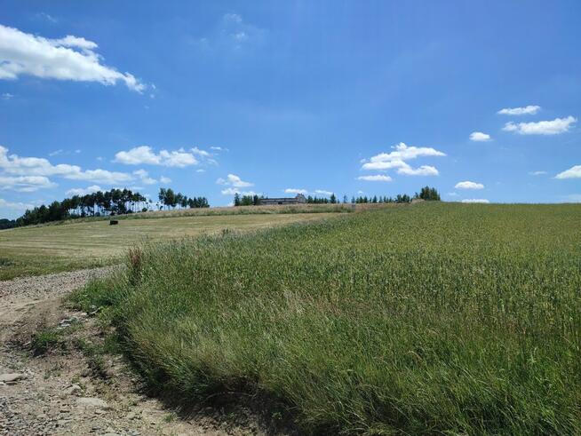 Piękna działka budowlana CISZA SPOKÓJ ŚPIEW PTAKÓW
