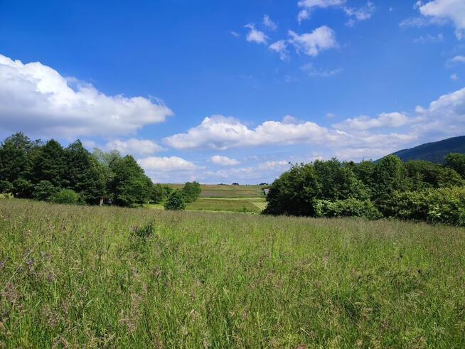 Działka rolno-budowlana Koniuszowa, gm. Korzenna