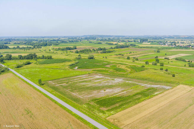 Sprzedam działkę rolną Kwików 36 ar.