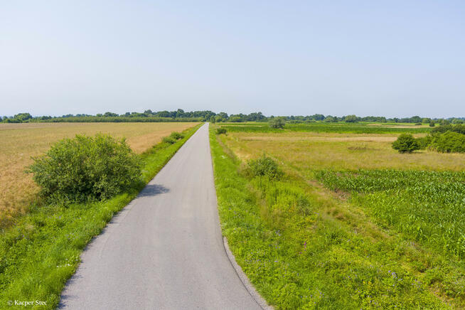 Sprzedam działkę rolną Kwików 36 ar.