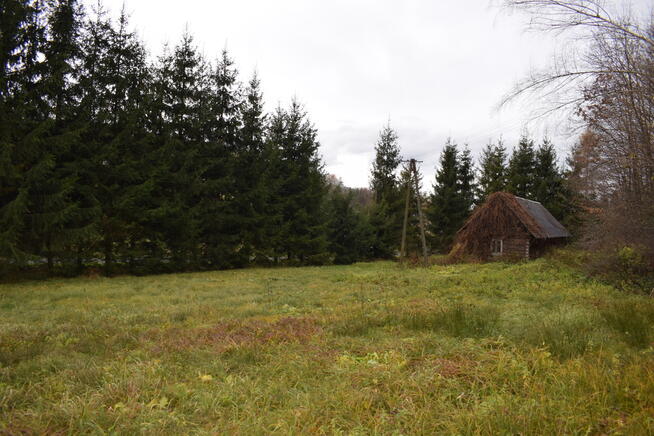 Dom drewniany 65m2 w Gminie Nozdrzec