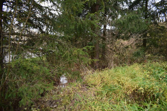 Dom drewniany 65m2 w Gminie Nozdrzec