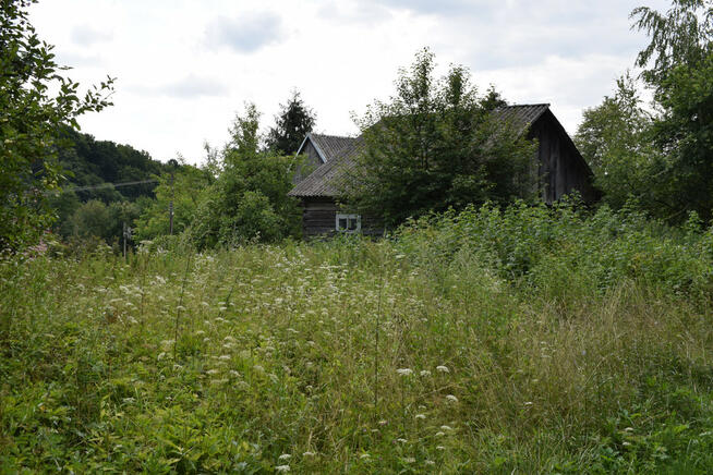 Działka 21a pod rekreację- Wesoła