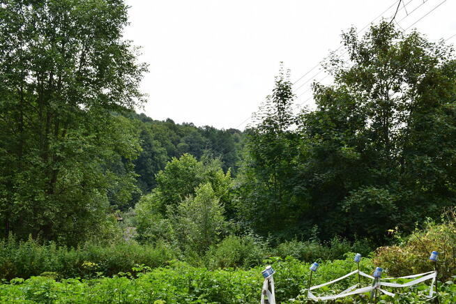 Działka 21a pod rekreację- Wesoła