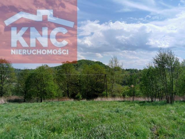 Działka rolno-budowlana
