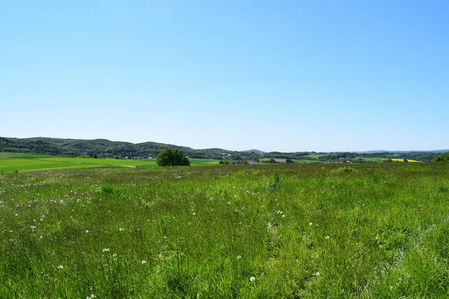 Działki rolne 86a i 112a- Brzeziny