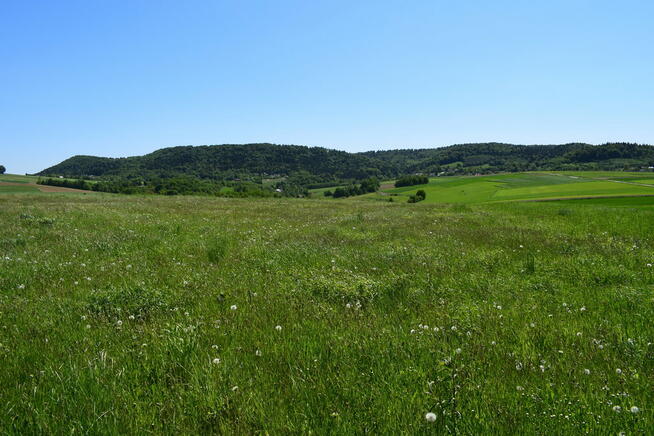 Działki rolne 86a i 112a- Brzeziny