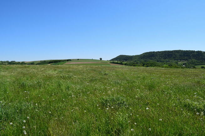 Działki rolne 86a i 112a- Brzeziny