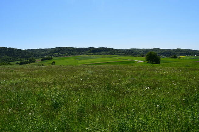 Działki rolne 86a i 112a- Brzeziny