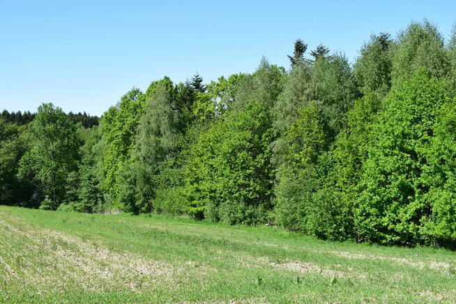 Działki rolne 86a i 112a- Brzeziny