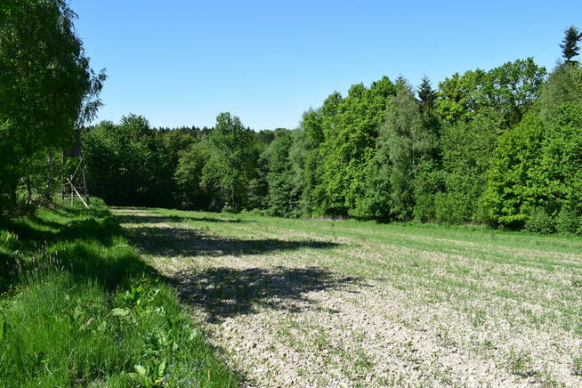 Działki rolne 86a i 112a- Brzeziny