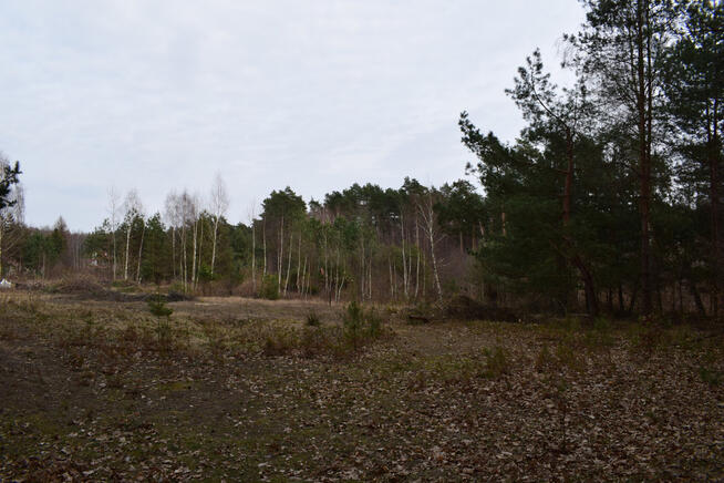 Działki pod budownictwo 13,87a - Wysoka Głogowska