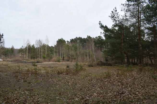 Działki pod budownictwo 13,87a - Wysoka Głogowska