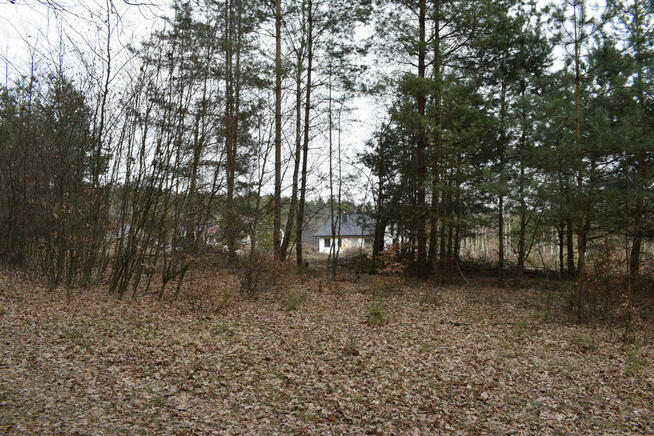 Działki pod budownictwo 13,87a - Wysoka Głogowska