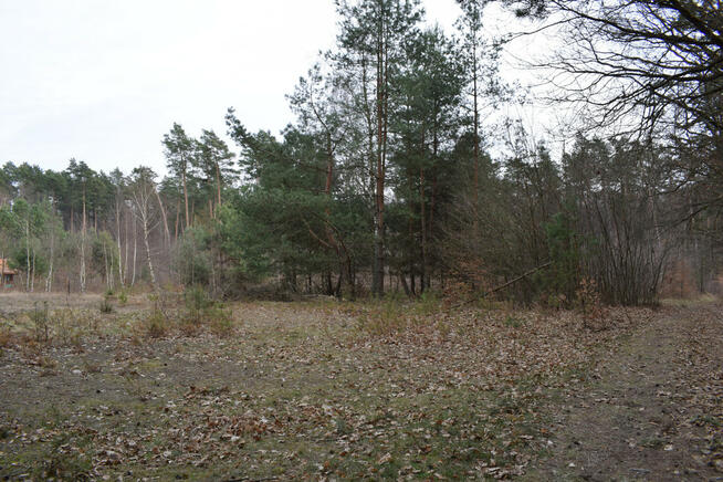 Działki pod budownictwo 13,87a - Wysoka Głogowska