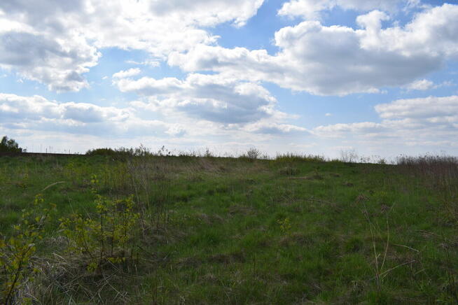 Działka rolno-budowlana 28a, Chmielnik