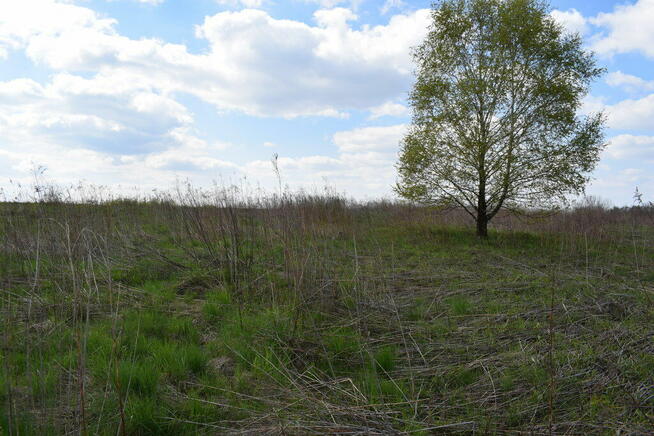 Działka rolno-budowlana 28a, Chmielnik