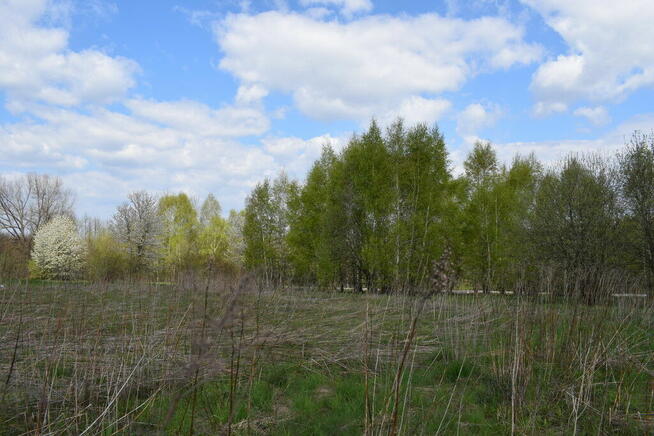 Działka rolno-budowlana 28a, Chmielnik