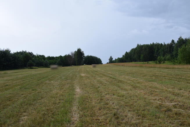 Działki budowlane 39a w Budach Głogowskich