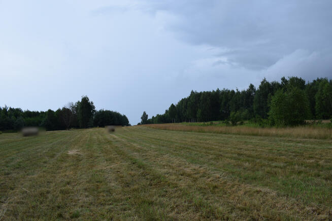 Działki budowlane 39a w Budach Głogowskich
