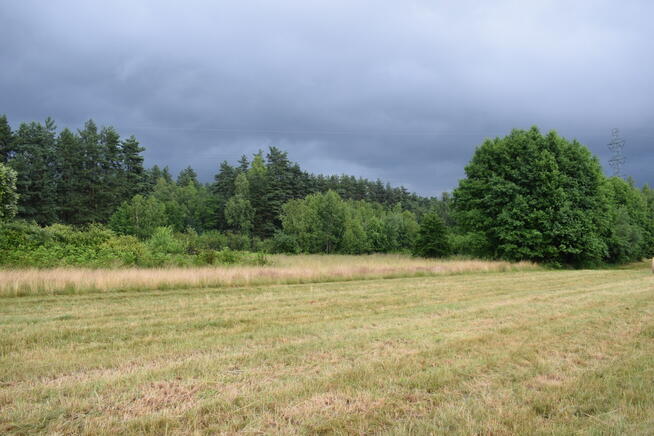 Działki budowlane 39a w Budach Głogowskich