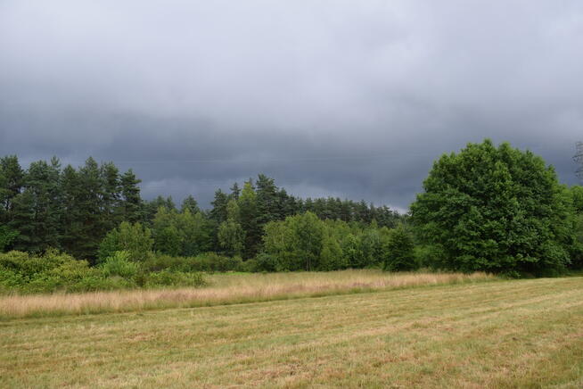 Działki budowlane 39a w Budach Głogowskich