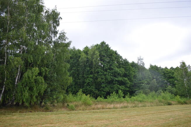 Działki budowlane 39a w Budach Głogowskich