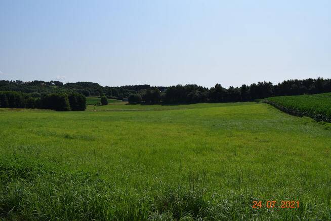 Działka rolno-budowlana 43a w Racławówce.