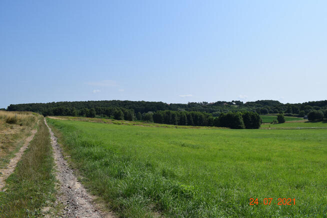 Działka rolno-budowlana 43a w Racławówce.