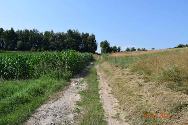 Działka rolno-budowlana 43a w Racławówce.