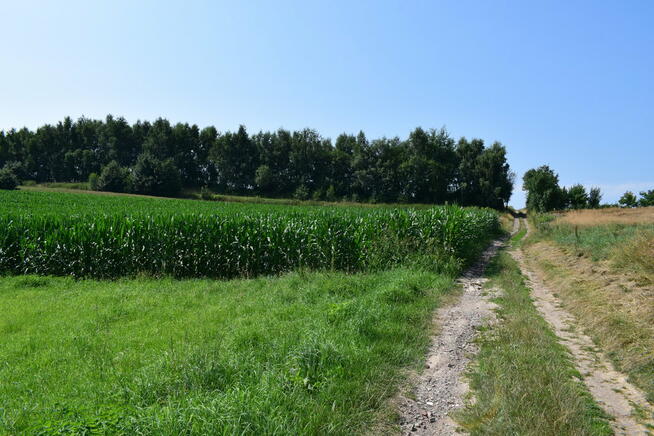 Działka rolno-budowlana 43a w Racławówce.