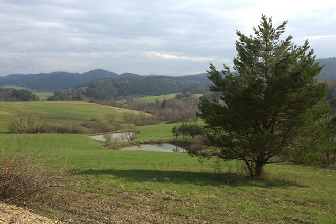 Bieszczady -Działki w super cenie i lokalizacji