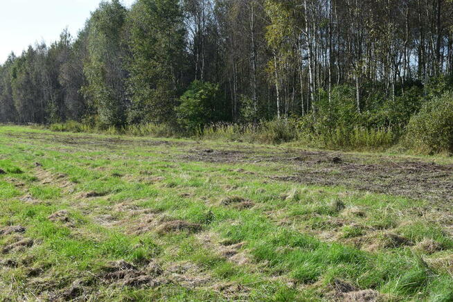 Działki budowlane 8a i 9.5a- Bratkowice