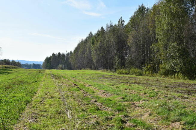 Działki budowlane 8a i 9.5a- Bratkowice