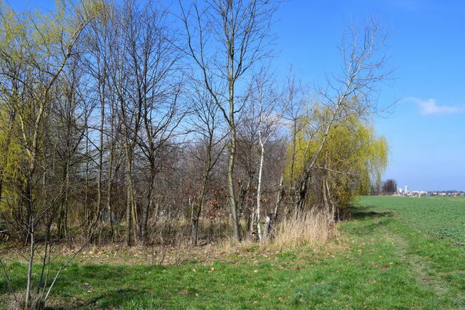 Działka rekreacyjna 12a Rzeszów-Słocina