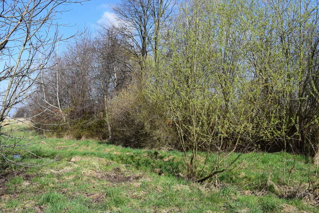 Działka rekreacyjna 12a Rzeszów-Słocina