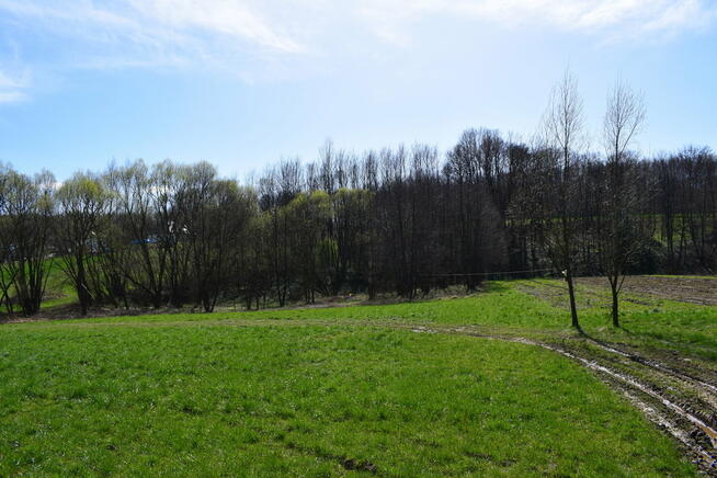 Działka rekreacyjna 40a- Manasterz