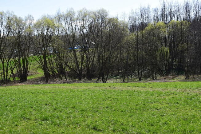 Działka rekreacyjna 40a- Manasterz