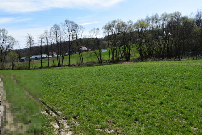 Działka rekreacyjna 40a- Manasterz