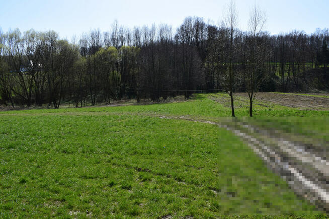 Działka rekreacyjna 40a- Manasterz