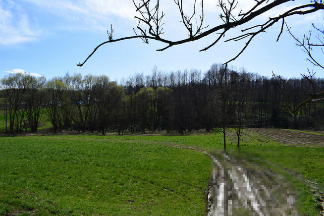 Działka rekreacyjna 40a- Manasterz