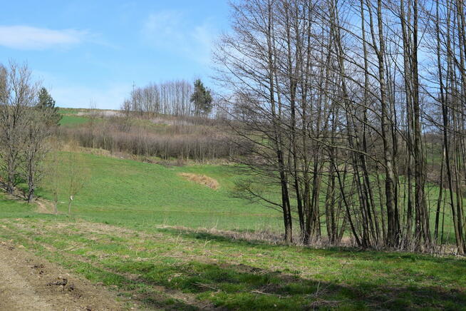 Działka rekreacyjna 40a- Manasterz