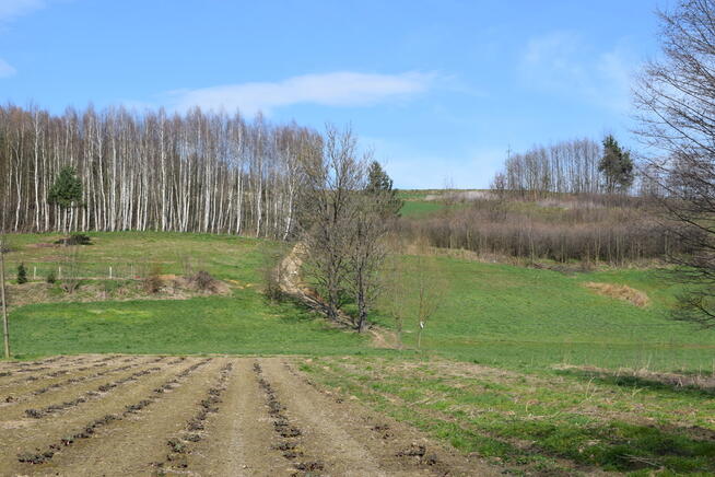 Działka rekreacyjna 40a- Manasterz